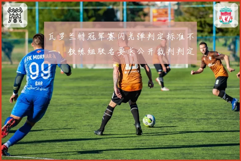 瓦罗兰特冠军赛闪光弹判定标准不一，教练组联名要求公开裁判判定规则