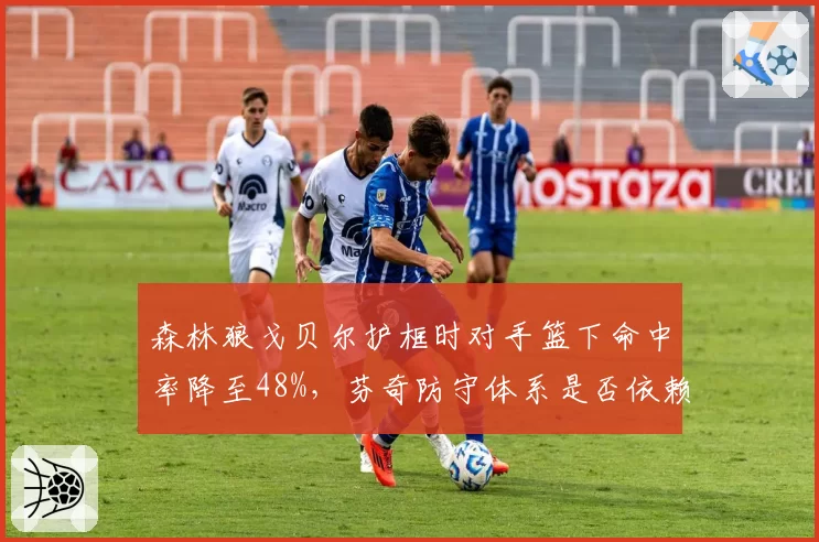 森林狼戈贝尔护框时对手篮下命中率降至48%，芬奇防守体系是否依赖法国中锋？